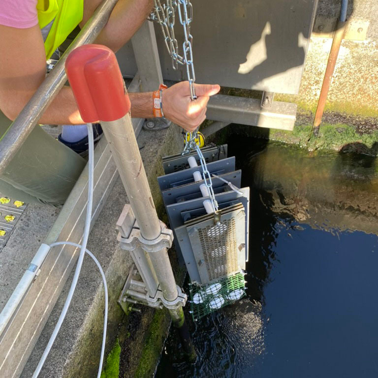 Pose des échantillonneurs dans une rivière.